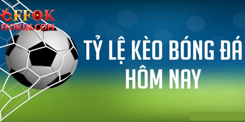Các loại tỷ lệ kèo thể thao phổ biến tại FFOK