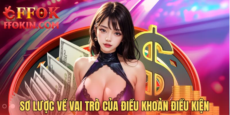 Sơ lược về vai trò của điều khoản điều kiện